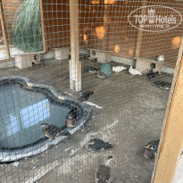 фото из отзыва ID 2729694