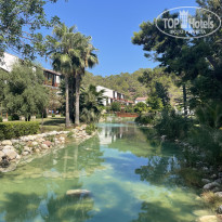 фото из отзыва ID 2729694