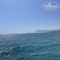 фото из отзыва ID 2729694