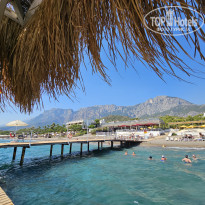 фото из отзыва ID 2729695