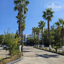 фото из отзыва ID 2729695