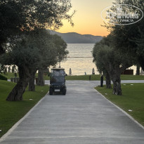 фото из отзыва ID 2729702