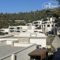 фото из отзыва ID 2729702