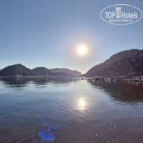 фото из отзыва ID 2729707