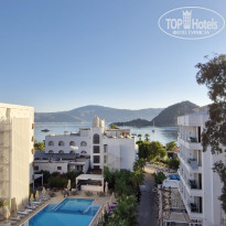 фото из отзыва ID 2729707