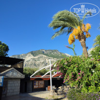 фото из отзыва ID 2729748