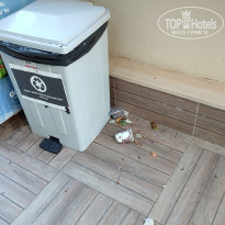 фото из отзыва ID 2729748