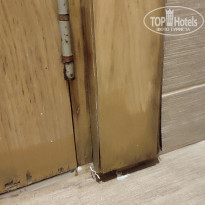 фото из отзыва ID 2729748