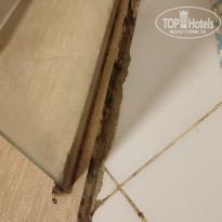 фото из отзыва ID 2729748