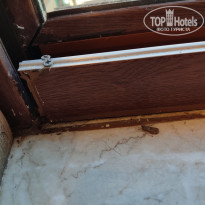 фото из отзыва ID 2729748