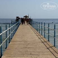 фото из отзыва ID 2729755