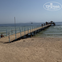 фото из отзыва ID 2729755