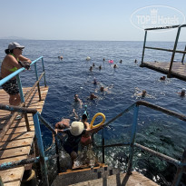 фото из отзыва ID 2729755