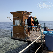 фото из отзыва ID 2729755