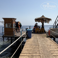 фото из отзыва ID 2729755