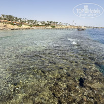 фото из отзыва ID 2729755