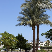 фото из отзыва ID 2729755