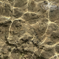 фото из отзыва ID 2729755