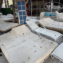 фото из отзыва ID 2729763