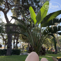 фото из отзыва ID 2729763