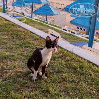 фото из отзыва ID 2729781