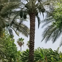 фото из отзыва ID 2729781