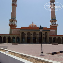 фото из отзыва ID 2729781