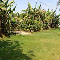 фото из отзыва ID 2729781