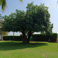 фото из отзыва ID 2729781