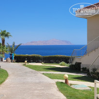 фото из отзыва ID 2729838