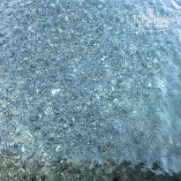 фото из отзыва ID 2729844