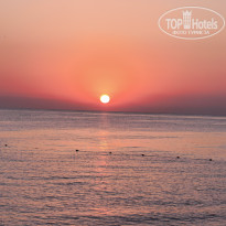 фото из отзыва ID 2729844