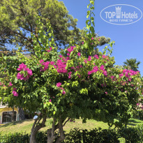 фото из отзыва ID 2729844