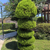 фото из отзыва ID 2729844