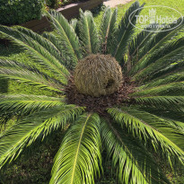 фото из отзыва ID 2729844