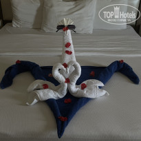 фото из отзыва ID 2729855