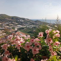 фото из отзыва ID 2729867