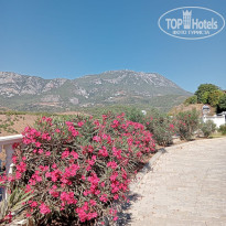 фото из отзыва ID 2729867