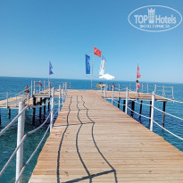 фото из отзыва ID 2729867