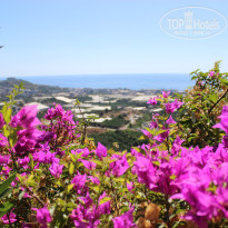 фото из отзыва ID 2729867