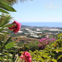 фото из отзыва ID 2729867