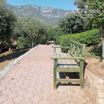 фото из отзыва ID 2729867