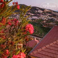 фото из отзыва ID 2729867