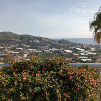 фото из отзыва ID 2729867