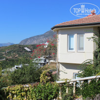 фото из отзыва ID 2729867