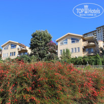 фото из отзыва ID 2729867