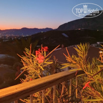 фото из отзыва ID 2729867