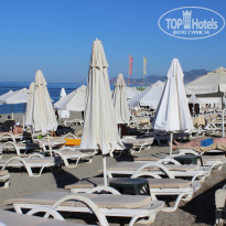 фото из отзыва ID 2729867