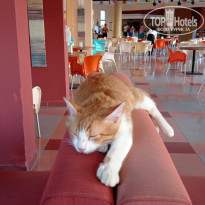 фото из отзыва ID 2729884