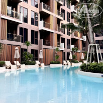 фото из отзыва ID 2729904